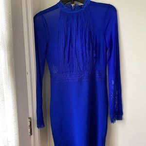NWT Windsor blue sheer long sleeve dress